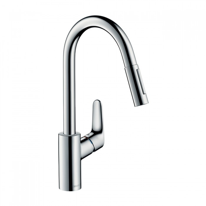 Hansgrohe Focus Extraíble de cocina