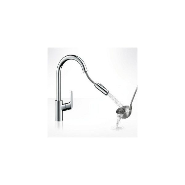 Hansgrohe Focus Extraíble de cocina