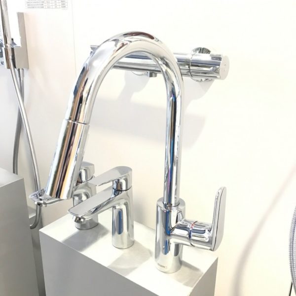 Hansgrohe Focus Extraíble de cocina