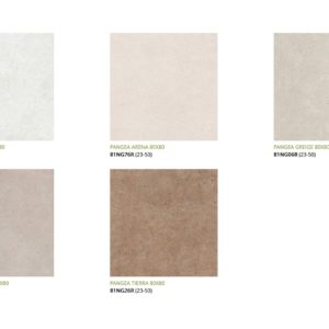 Pangea 80x80 - Imagen 2